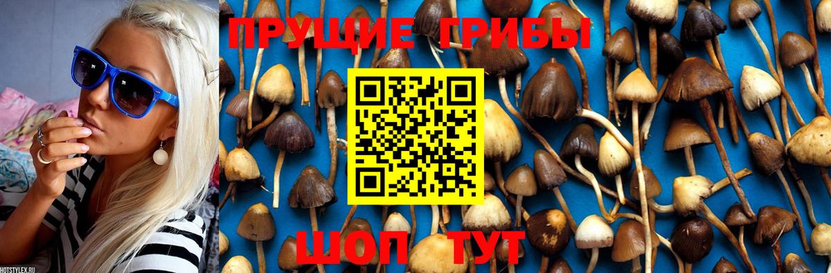 Псилоцибиновые грибы мухоморы  Галлюциногенные грибы Psilocybe  Вход с VPN  Якутск 
